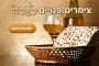 צימרים יוקרתיים ברמת הגולן